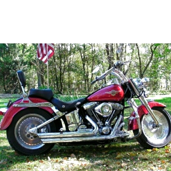 Meet your Posher, William - Picture 1 of 1